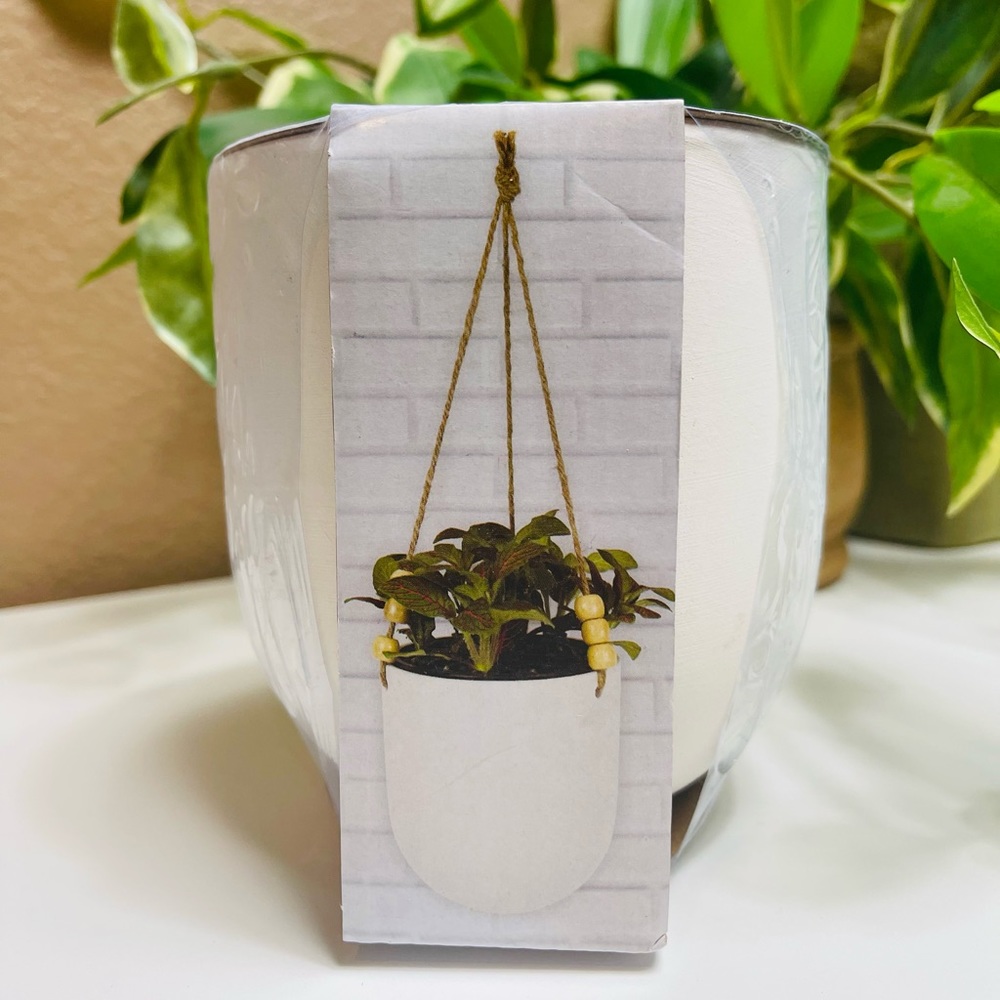 Target Bullseye DIY Hanging Planter Kit NWT - Picture 1 of 5